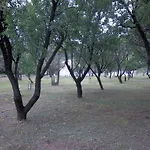 Budima 3*