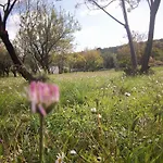 Budima 3* Banići