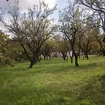 Budima Pensión Banići