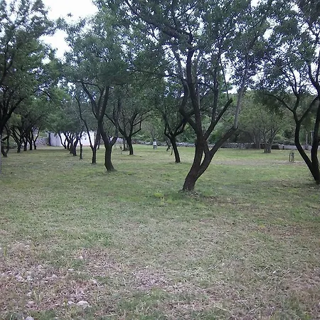 Guest house Budima Banici